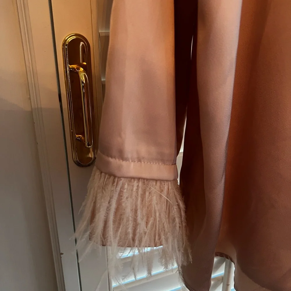 Entro Satin with feather trim Button Down Shirt in Blush - Picture 2 of 4